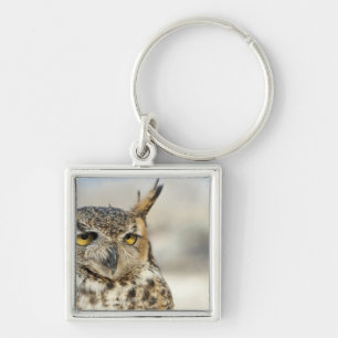 Virginia-Uhu (Bubo virginianus), Gefangener Schlüsselanhänger