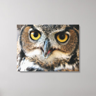 Virginia-Uhu (Bubo virginianus) Leinwanddruck