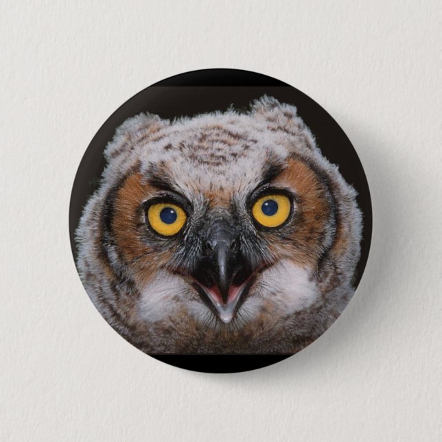 Virginia-Uhu-Knopf Button (Vorderseite)