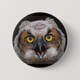 Virginia-Uhu-Knopf Button