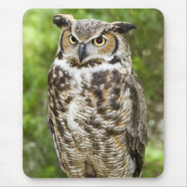 Virginia-Uhu Mousepad