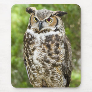 Virginia-Uhu Mousepad
