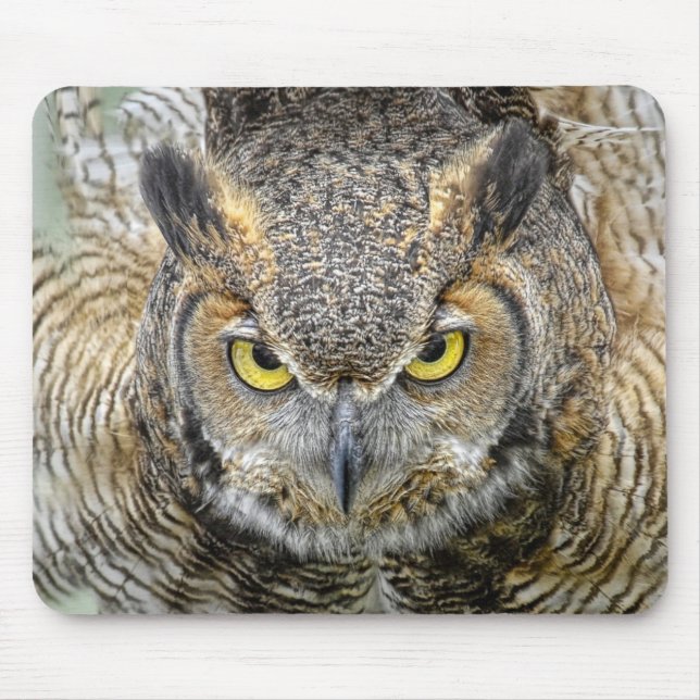 Virginia-Uhu nach Augen Mousepad (Vorne)