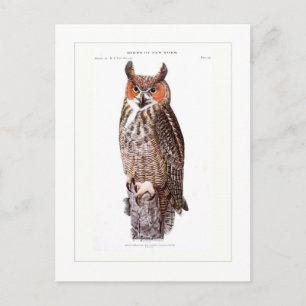 Virginia-Uhu Postkarte