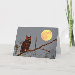 Virginia-Uhu Vollmond Karte