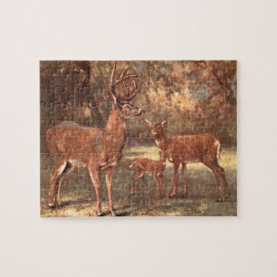 Virginian Deer, alias White Tails Deer by CE Swan