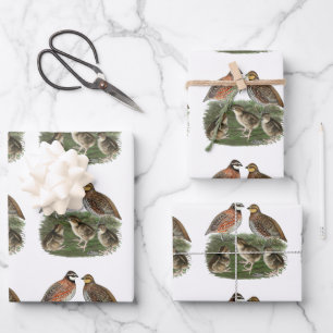 Virginiawachtelfamilie Geschenkpapier Set