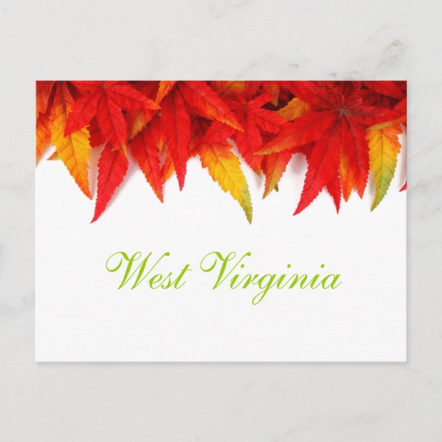 Virginie-Occidentale Autumn Leaves Carte postale (Devant)