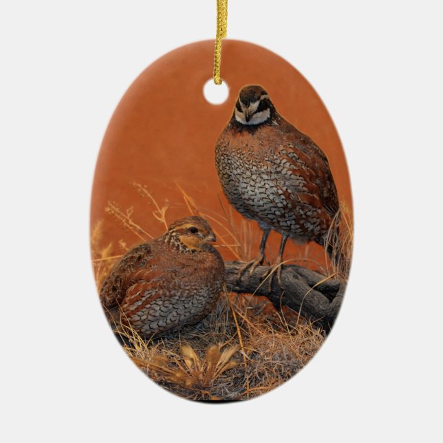 Virginische Wachteln (Georgia, Missouri und Keramik Ornament (Vorne)