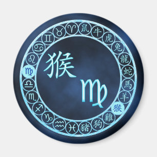 Virgo/Affe Magnet