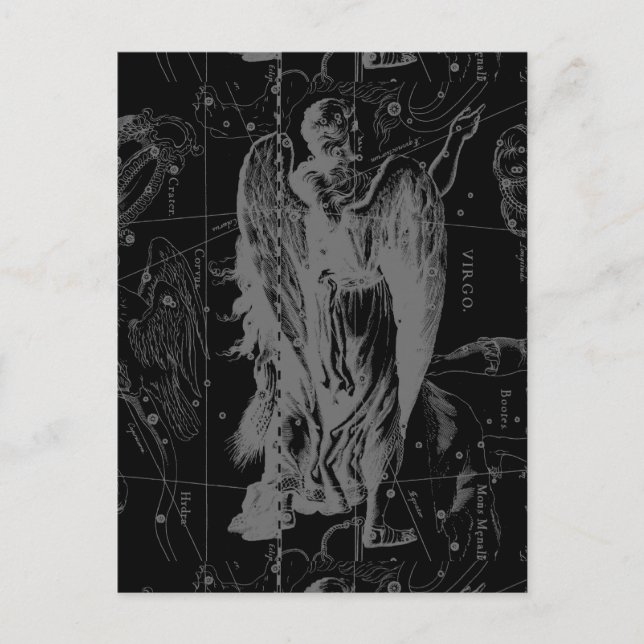 Virgo Zodiac Constellation Hevelius 1690 Postkarte (Vorderseite)