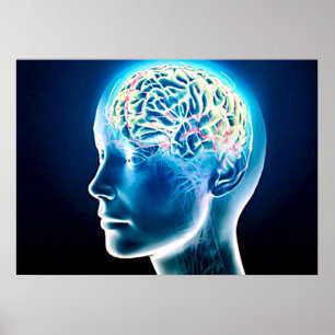 Virtual Human Brain Airbrush Art Poster