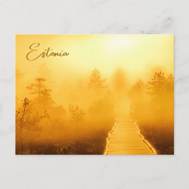 Viru Bog Golden Sunrise Postkarte (Vorderseite)