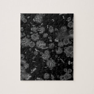 Virus