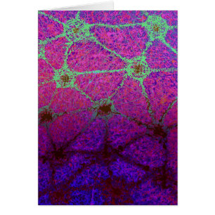 Virus géodésique 2 d'Aqua