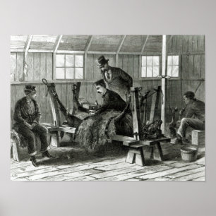 Virusentnahme aus dem Kalb Poster