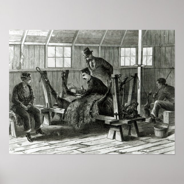 Virusentnahme aus dem Kalb Poster (Vorne)