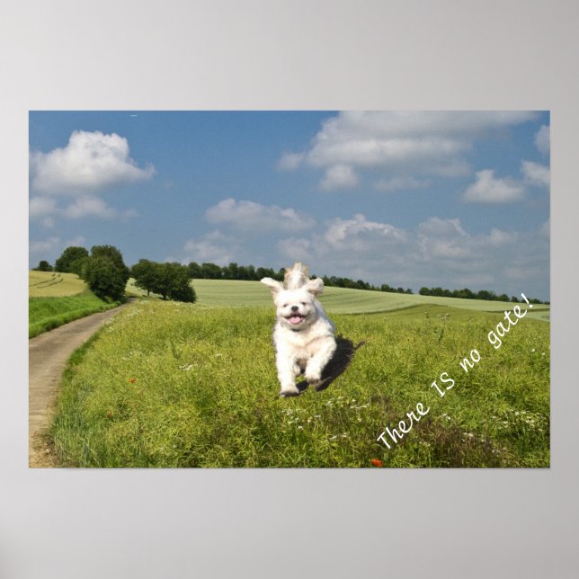 "Vis Comme..." Poster - Version Bouddhiste (Matric (Devant)