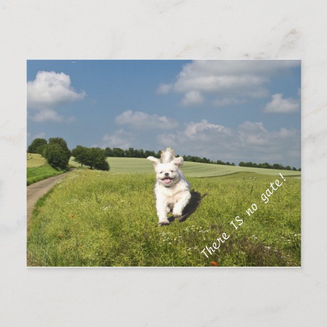 "Vis Comme..." Version de la carte postale bouddhi (Devant)