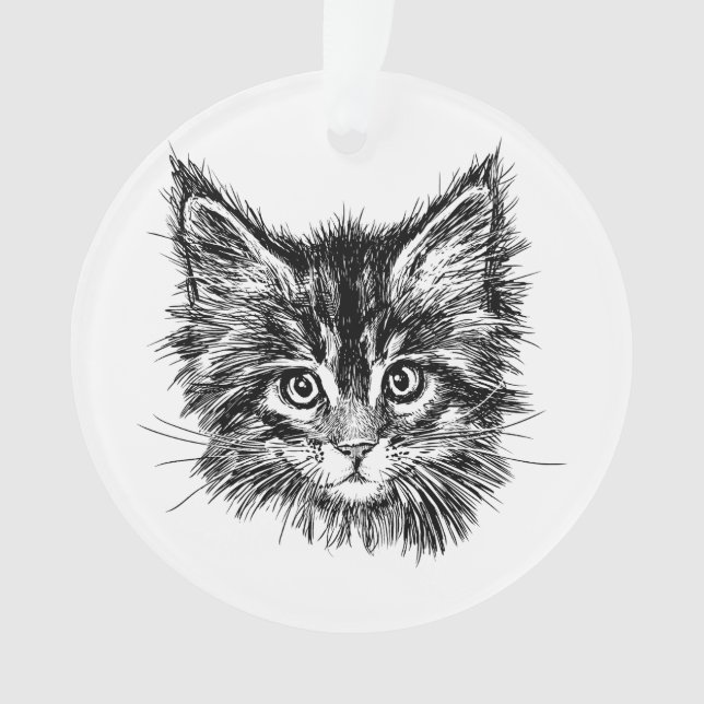 Visage de Kitten noir et blanc (devant)