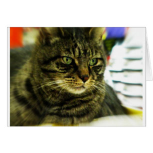 Visage de Tabulation Jaune Vert