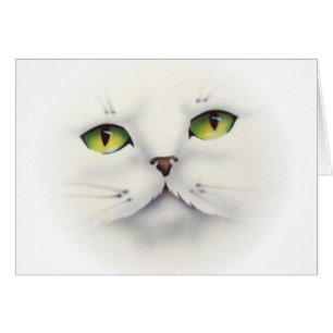 visage du chat