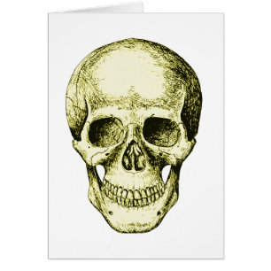 Visage humain en bronze de crâne