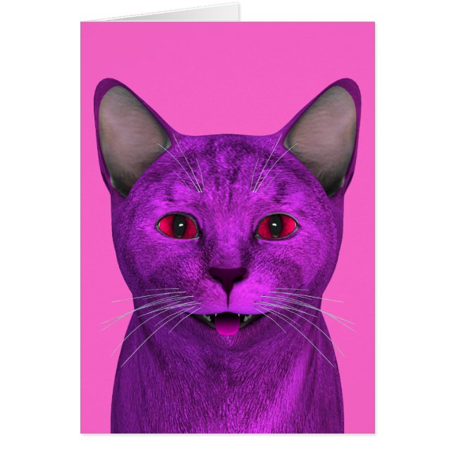 Visage Kitty violet rose (Devant)