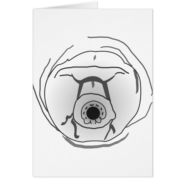 Visage Tardigrade de l'ours d'eau (Devant)