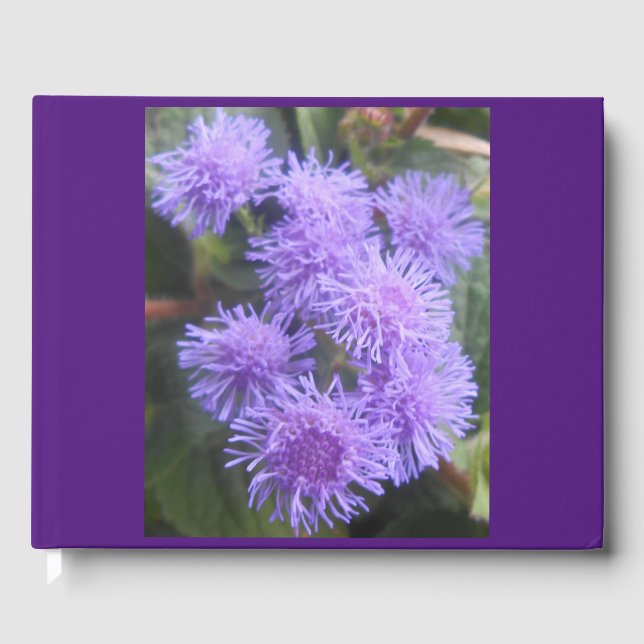 Viscountess Gästebuch (Vorderseite)