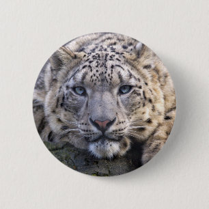 Vishnu Schnee-Leopard-Abzeichen Button