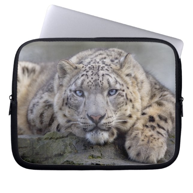 Vishnu Snow Leopard Laptop Sleeve (Vorderseite)