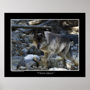 "Vision Quest" Gray Wolf Foto Poster
