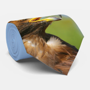 Vision von schönen jungen goldenen Eagle Krawatte