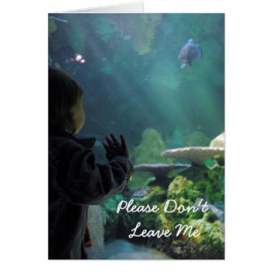 Visionneuse de réservoir de tortue