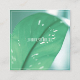 Visite Carré Vert pâle Plante Feuille Nature Se sentir Carte de