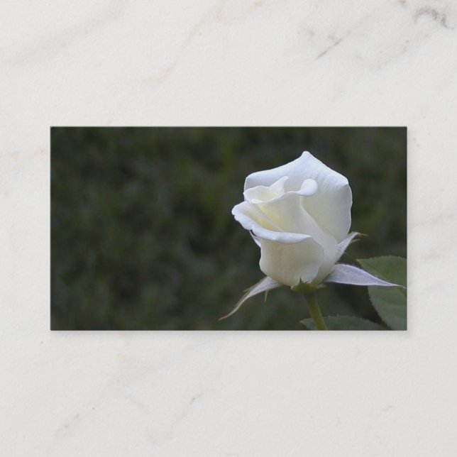 Visite Carte d'affaires ou de profil de rose blanc (Devant)