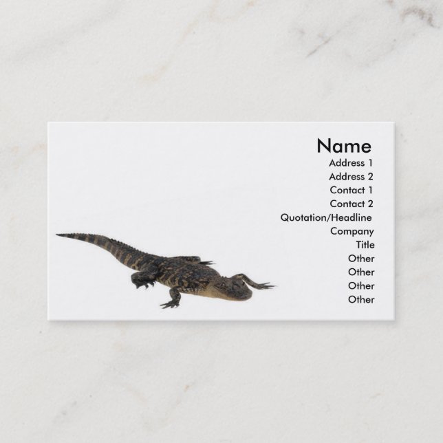 Visite Carte de profil d'alligator (Devant)