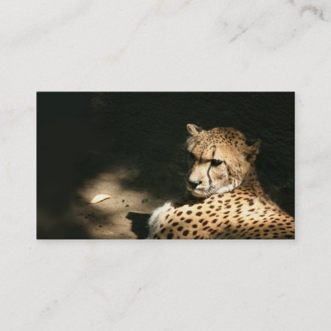 Visite Carte de profil de guépard (Devant)