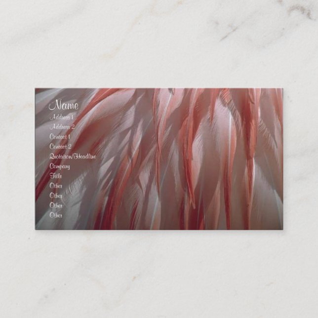 Visite Carte de profil de plumes (Devant)