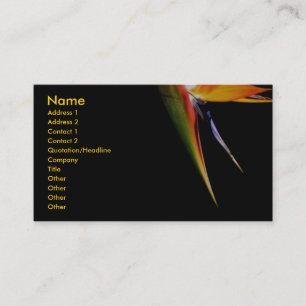Visite Carte de profil d'oiseaux de paradis