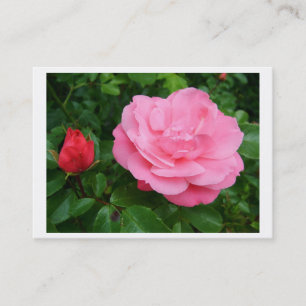Visite Carte de profil personnelle, rose rose