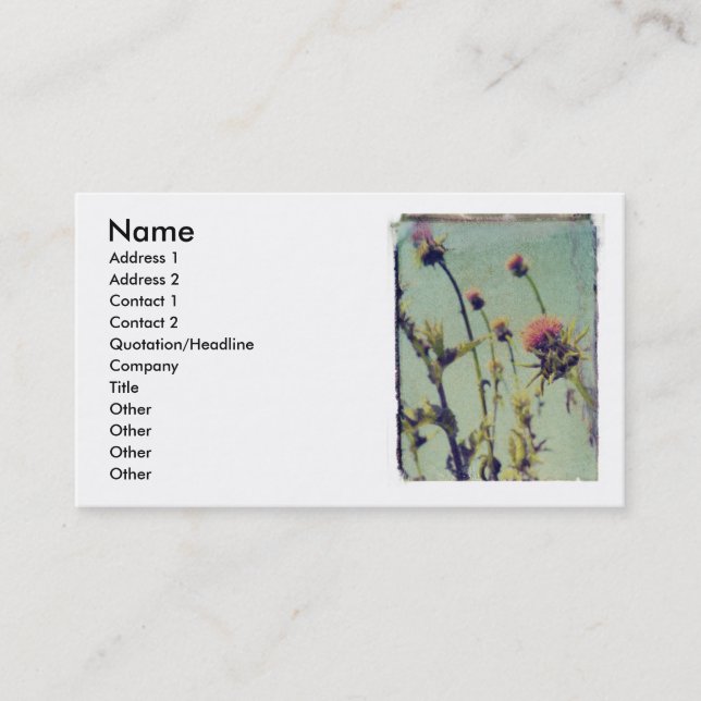 Visite Carte rose de profil de chardon (Devant)