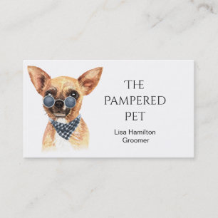 Visite Chihuahua Groomer pour animaux/Vet/Siters Carte de