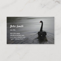 Elégante nage en cygne noire sur une carte de prof