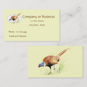 Visite faisan, Oiseau, Nature, Environnement, Carte de vi
