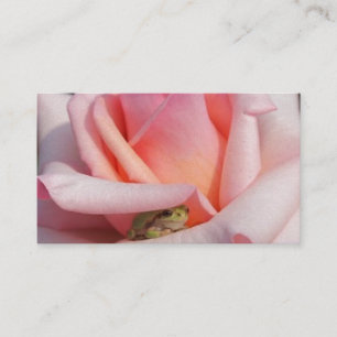 Visite Grenouille d'arbre minuscule dans le carte de