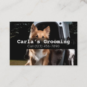 Visite Grossissement d'animaux de compagnie mobiles Carte