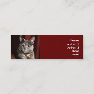 Visite Mini Carte de chat