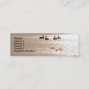 Visite Mini Carte de profil d'aube de pélican